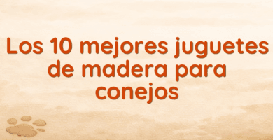 Los 10 mejores juguetes de madera para conejos Los 10 mejores juguetes de madera para conejos
