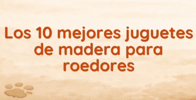 Los 10 mejores juguetes de madera para roedores
