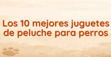 Los 10 mejores juguetes de peluche para perros