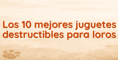 Los 10 mejores juguetes destructibles para loros