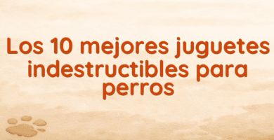 Los 10 mejores juguetes indestructibles para perros