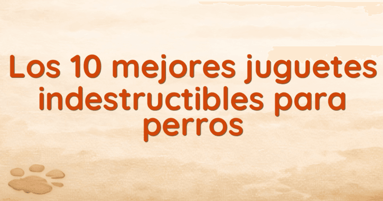 Los 10 mejores juguetes indestructibles para perros