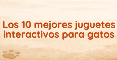 Los 10 mejores juguetes interactivos para gatos