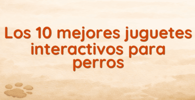 Los 10 mejores juguetes interactivos para perros