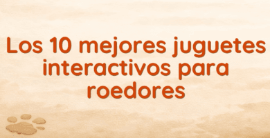 Los 10 mejores juguetes interactivos para roedores