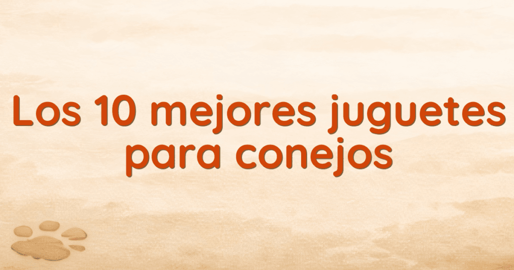 Los 10 mejores juguetes para conejos Los 10 mejores juguetes para conejos