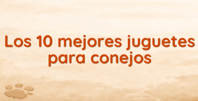 Los 10 mejores juguetes para conejos