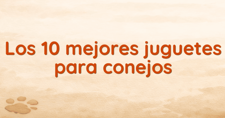 Los 10 mejores juguetes para conejos