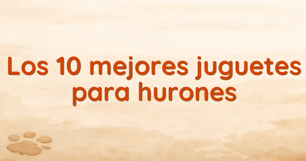 Los 10 mejores juguetes para hurones