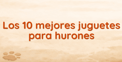 Los 10 mejores juguetes para hurones Los 10 mejores juguetes para hurones