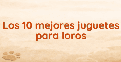 Los 10 mejores juguetes para loros Los 10 mejores juguetes para loros
