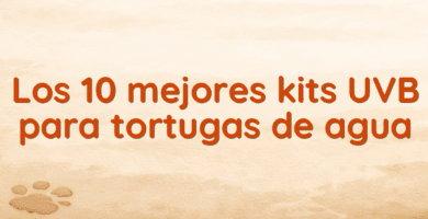 Los 10 mejores kits UVB para tortugas de agua