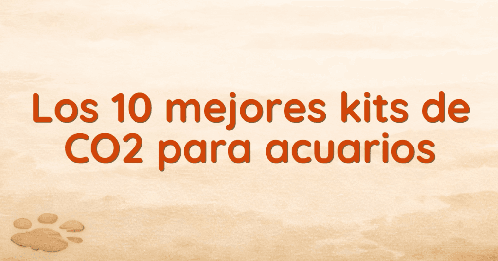 Los 10 mejores kits de CO2 para acuarios Los 10 mejores kits de CO2 para acuarios