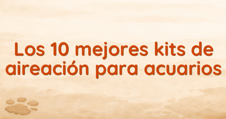 Los 10 mejores kits de aireación para acuarios Los 10 mejores kits de aireación para acuarios