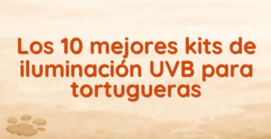 Los 10 mejores kits de iluminación UVB para tortugueras
