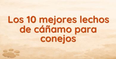 Los 10 mejores lechos de cáñamo para conejos