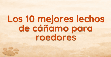 Los 10 mejores lechos de cáñamo para roedores Los 10 mejores lechos de cáñamo para roedores