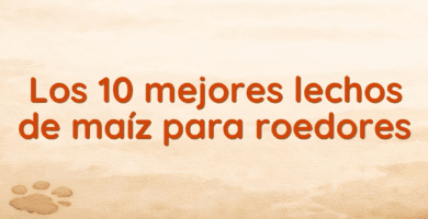 Los 10 mejores lechos de maíz para roedores