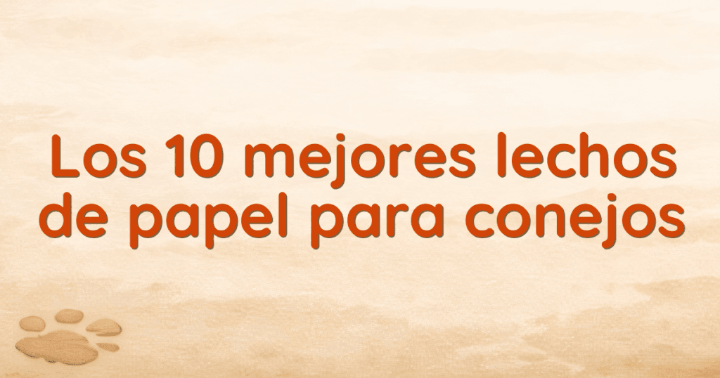 Los 10 mejores lechos de papel para conejos Los 10 mejores lechos de papel para conejos