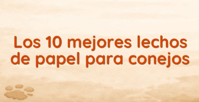 Los 10 mejores lechos de papel para conejos Los 10 mejores lechos de papel para conejos