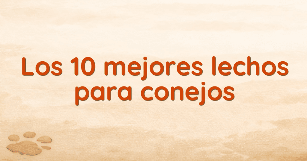 Los 10 mejores lechos para conejos