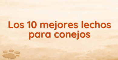 Los 10 mejores lechos para conejos