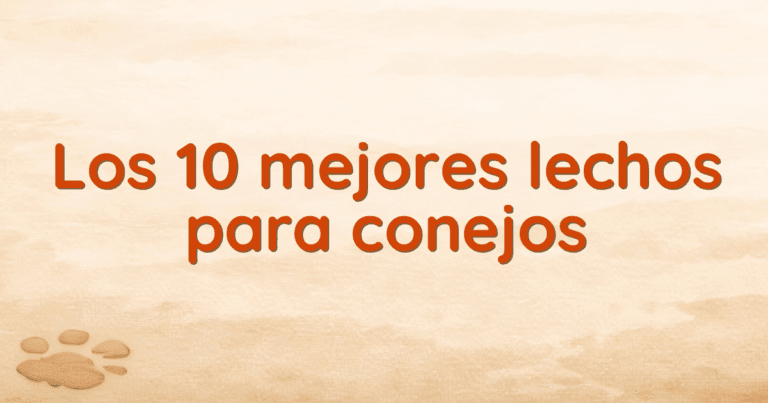 Los 10 mejores lechos para conejos