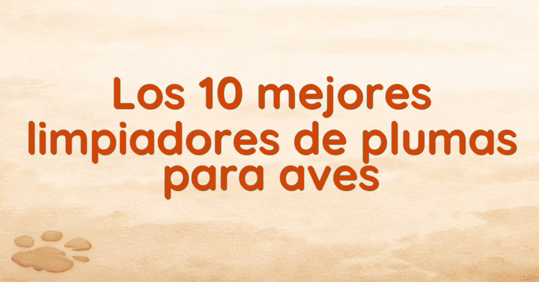 Los 10 mejores limpiadores de plumas para aves Los 10 mejores limpiadores de plumas para aves