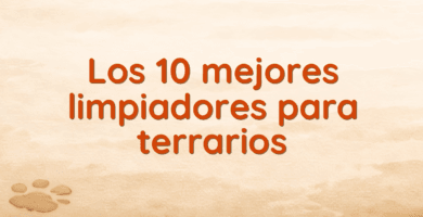 Los 10 mejores limpiadores para terrarios Los 10 mejores limpiadores para terrarios