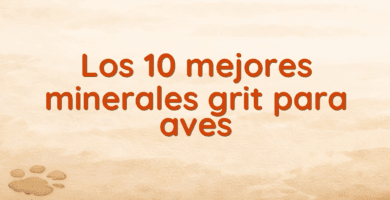 Los 10 mejores minerales grit para aves