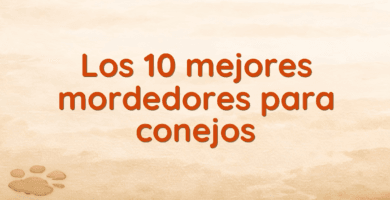 Los 10 mejores mordedores para conejos