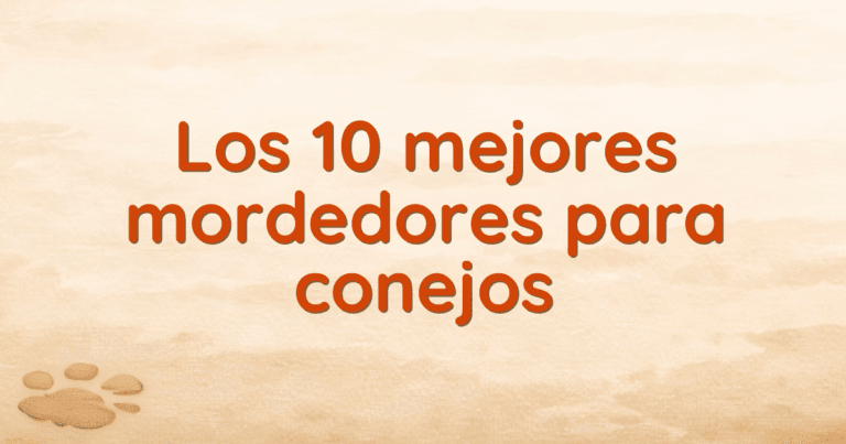 Los 10 mejores mordedores para conejos
