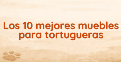 Los 10 mejores muebles para tortugueras