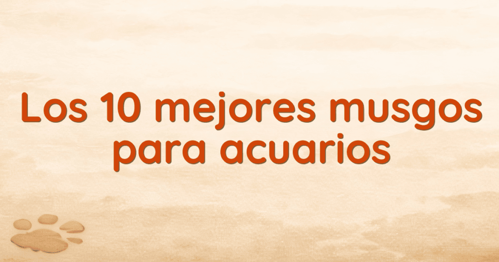 Los 10 mejores musgos para acuarios