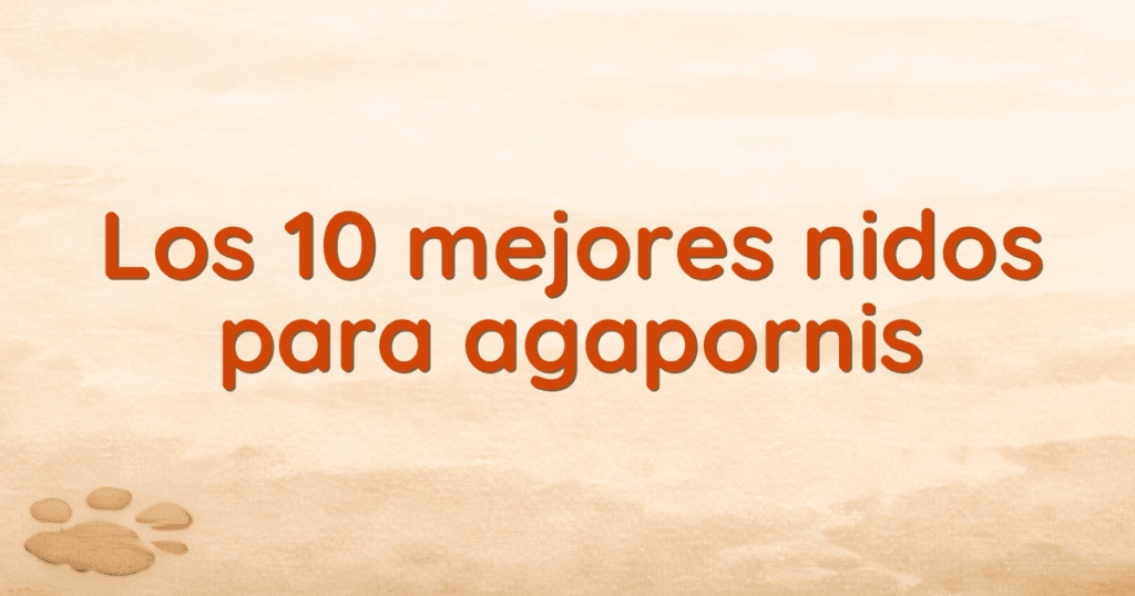 Los 10 mejores nidos para agapornis