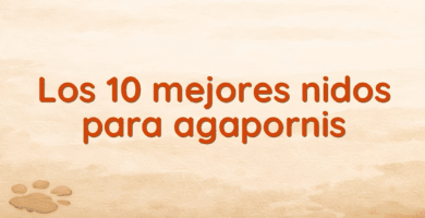 Los 10 mejores nidos para agapornis Los 10 mejores nidos para agapornis