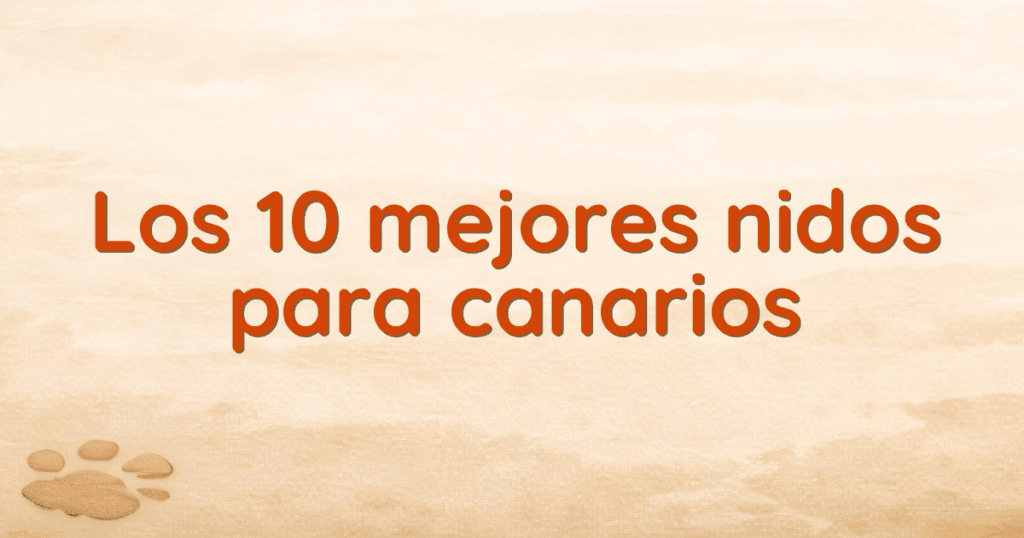 Los 10 mejores nidos para canarios