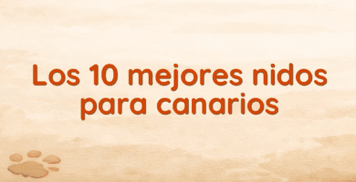 Los 10 mejores nidos para canarios