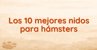 Los 10 mejores nidos para hámsters