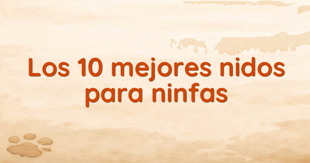 Los 10 mejores nidos para ninfas