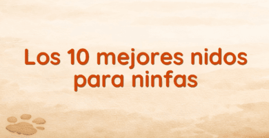 Los 10 mejores nidos para ninfas