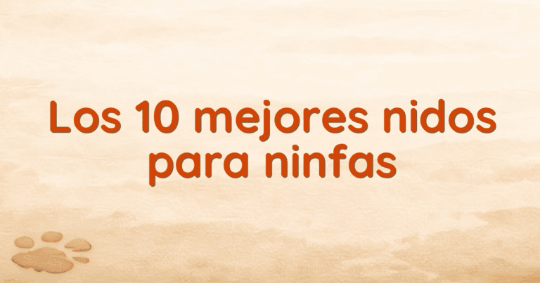 Los 10 mejores nidos para ninfas