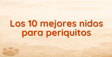 Los 10 mejores nidos para periquitos Los 10 mejores nidos para periquitos