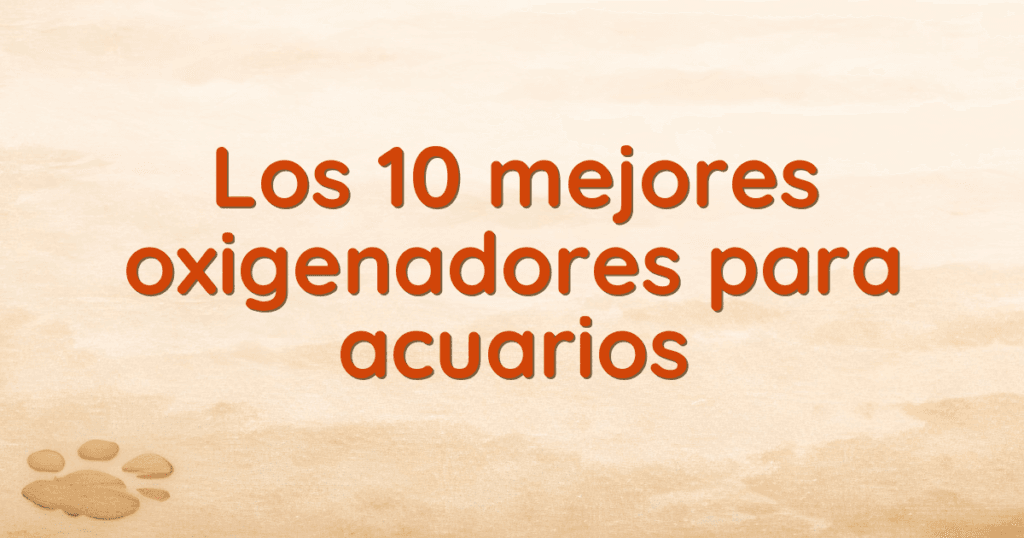 Los 10 mejores oxigenadores para acuarios