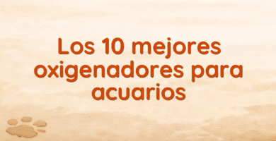Los 10 mejores oxigenadores para acuarios