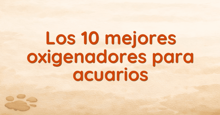 Los 10 mejores oxigenadores para acuarios Los 10 mejores oxigenadores para acuarios
