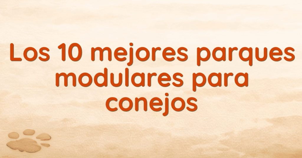 Los 10 mejores parques modulares para conejos Los 10 mejores parques modulares para conejos