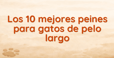 Los 10 mejores peines para gatos de pelo largo