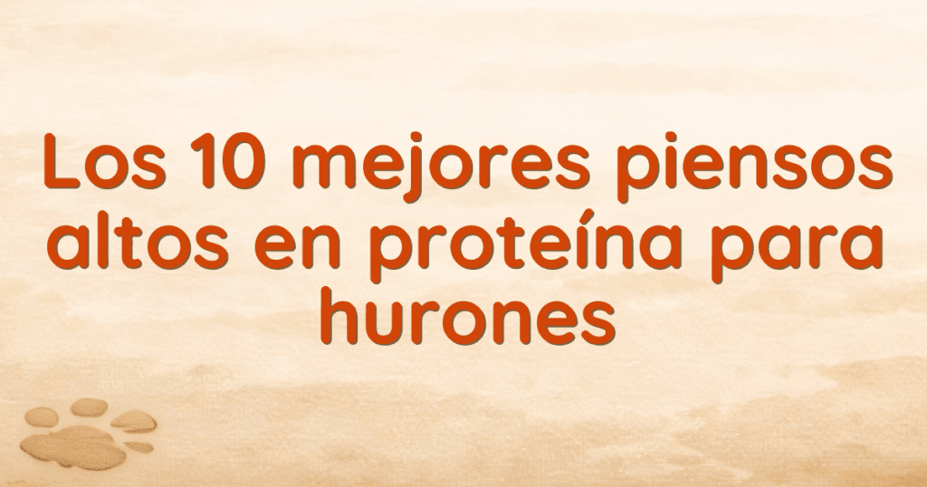 Los 10 mejores piensos altos en proteína para hurones Los 10 mejores piensos altos en proteína para hurones