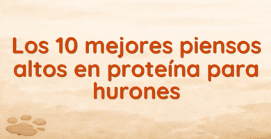 Los 10 mejores piensos altos en proteína para hurones